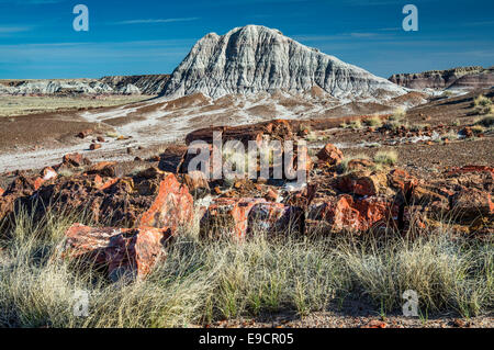 Le bois pétrifié sur longue piste de billes, le Parc National de la Forêt Pétrifiée, du Plateau du Colorado, Arizona, USA Banque D'Images