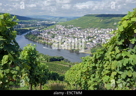 Vignoble et Moselle Vallée de la Moselle Bernkastel-Kues Allemagne Banque D'Images