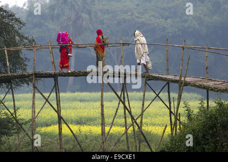 Munshigonj, au Bangladesh. 2 Jan, 2012. Les femmes sont de passage pont en bois dans un village du Bangladesh.La vie dans un village du Bangladesh est, en règle générale, terne et monotone. Les gens du village sont simples, religieux et conservateur. Ils n'aiment pas changer avec l'évolution de l'état du monde. Cette attitude présente un contraste frappant avec la vie dans la ville. Les villageois peuvent être classées sous trois principaux chefs-les riches, la classe moyenne et à la classe ouvrière et les pauvres. Les riches en général, les gens quittent le village et se rendent dans la ville pour profiter de ses multiples avantages. Les personnes de la classe moyenne sont cons Banque D'Images