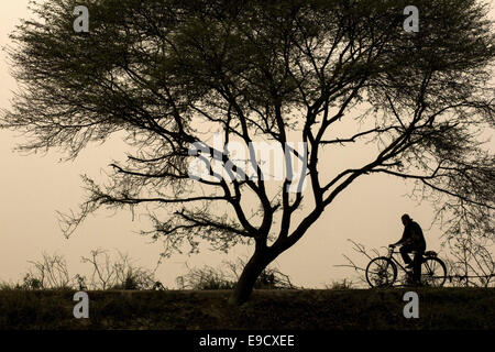 Munshigonj, au Bangladesh. 2 Jan, 2012. Un homme monté sur un bi-cycle dans un village.La vie dans un village du Bangladesh est, en règle générale, terne et monotone. Les gens du village sont simples, religieux et conservateur. Ils n'aiment pas changer avec l'évolution de l'état du monde. Cette attitude présente un contraste frappant avec la vie dans la ville. Les villageois peuvent être classées sous trois principaux chefs-les riches, la classe moyenne et à la classe ouvrière et les pauvres. Les riches en général, les gens quittent le village et se rendent dans la ville pour profiter de ses multiples avantages. Les personnes de la classe moyenne sont considérables en nombre Banque D'Images