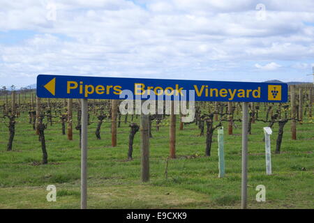 Vignes au printemps à l'Pipers Brook vignoble sur la route des vins dans le nord-est de la Tasmanie, Australie Banque D'Images