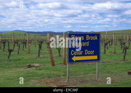 Vignes au printemps à l'Pipers Brook vignoble sur la route des vins dans le nord-est de la Tasmanie, Australie Banque D'Images