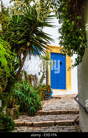 Raide, étroit, ruelle pavée à Sidi Bou Said, Tunisie. Banque D'Images