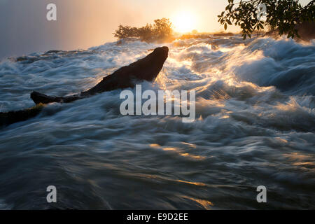 Coucher du soleil dans le Victoria Falls. Les chutes Victoria, à la frontière entre le Zimbabwe et la Zambie est l'une des plus vues à couper le souffle Banque D'Images