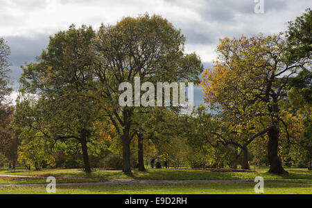 Londres, Royaume-Uni. 25 octobre, 2014. Les visiteurs du Jardin botanique royal de Kew, venez profiter d'agréables et temps d'automne feuillage d'automne. Credit : Nick Savage/Alamy Live News Banque D'Images