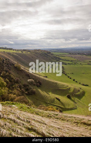 Vue sur les terrasses, glissement du sol depuis Westbury White Horse, Wiltshire, Angleterre, Royaume-Uni Banque D'Images