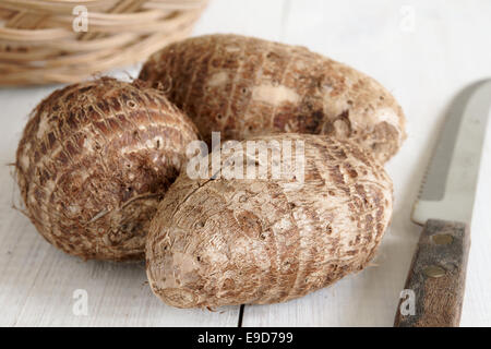 Ou eddo Eddo Un légume racine tropicale nom latin Colocasia antiquorum étroitement liée à Taro Banque D'Images