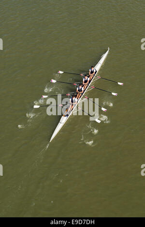 NOVI SAD, SERBIE - 18 octobre 2014 : quatre hommes de l'aviron sur le Danube à Novi Sad à distance traditionnelle sur regatta la concurrence. Banque D'Images