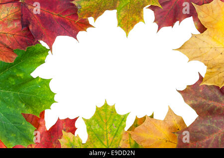 Cadre fait d'automne feuilles d'érable colorées isolé sur fond blanc avec clipping path Banque D'Images