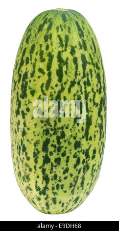 Mushkmelon frais Banque D'Images