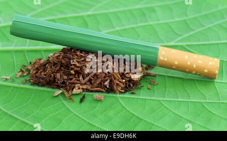 Les feuilles de tabac séchées avec la cigarette sur feuille verte Banque D'Images