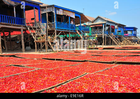 Des piments séchant au soleil sur des nattes de bambou à l'extérieur des maisons sur pilotis, Krong Kampong Chhnang, près de la rivière Tonle Sap, au Cambodge, en Asie du sud-est Banque D'Images