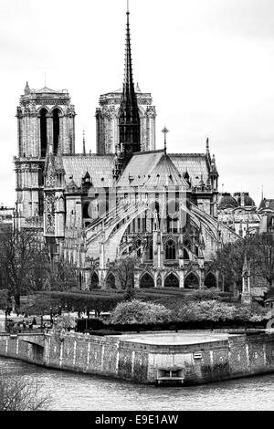 Cathédrale Notre Dame de Paris, France. Banque D'Images