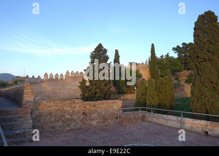 À l'intérieur de la fortification mauresque Gibralfaro murs du château de Malaga, Andalousie, espagne. Banque D'Images