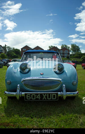 Austin Healey Sprite Eyed Grenouille Banque D'Images