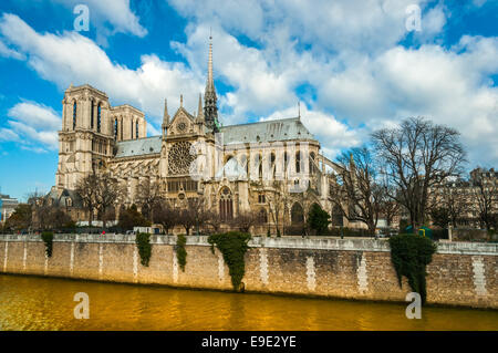 Cathédrale Notre Dame de Paris, France. Banque D'Images