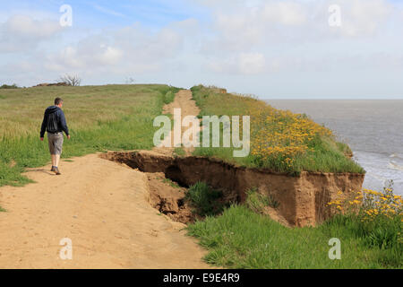 Falaises de grès soumis à l'érosion côtière entre Benacre et Covehithe, Suffolk, Angleterre, RU Banque D'Images