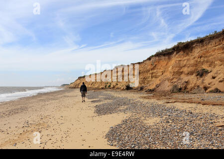 Falaises de grès soumis à l'érosion côtière et Benacre Covehithe, Suffolk, Angleterre, RU Banque D'Images