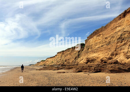 Falaises de grès soumis à l'érosion côtière entre Benacre et Covehithe, Suffolk, Angleterre, RU Banque D'Images