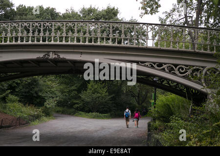 Pont n° 27 dans Central Park, New York City. Banque D'Images