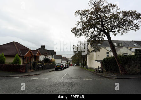 Swansea, Royaume-Uni. Vendredi 24 octobre 2014, entraînement Cwmdonkin Mumbles Swansea surplombant vers Re : Cette année marque le centenaire de la naissance de Dylan Thomas le 28 octobre 2014 avec des événements à la maison natale de l'auteur et poète Dylan Thomas, à 5 Cwmdonkin Drive, Swansea, Pays de Galles, Royaume-Uni. Credit : D Legakis/Alamy Live News Banque D'Images