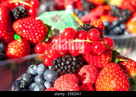 Fraises, bleuets gros plan fruits mélangés dans une boîte en plastique Banque D'Images