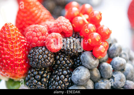 Gros plan mûres bleuets fraises framboises fruits texture baies savoureuses Banque D'Images