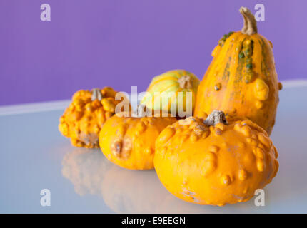 Citrouilles Banque D'Images