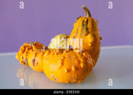 Citrouilles Banque D'Images