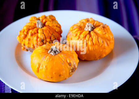 Citrouilles Banque D'Images