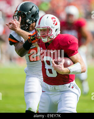 25 octobre 2014 : Stanford Cardinal quarterback Kevin Hogan (8) en action au cours de la NCAA Football match entre le Stanford Cardinal et l'Oregon State Beavers au stade de Stanford à Palo Alto, CA. Stanford a défait l'Oregon State 38-14. Damon Tarver/Cal Sport Media Banque D'Images