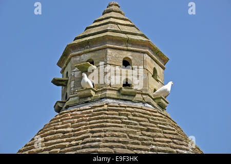 Une pierre et les tuiles dove cote avec deux pigeons blancs contre un ciel bleu clair, dans le West Sussex, Angleterre, Royaume-Uni. Banque D'Images