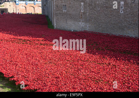 Les terres et les mers de sang ont balayé de rouge, l'installation de pavot à la Tour de Londres, Tower Hamlets, London, UK. Octobre Banque D'Images