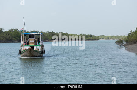 En bateau touristique Parc national des Sunderbans, West Bengal, India Banque D'Images