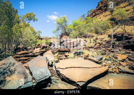 Gorge Dale Australie Banque D'Images