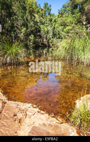 Gorge Dale Australie Banque D'Images