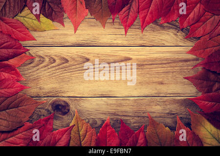 Image feuilles d'automne sur fond de bois. Les feuilles de vigne. Vintage style. Vue d'en haut Banque D'Images