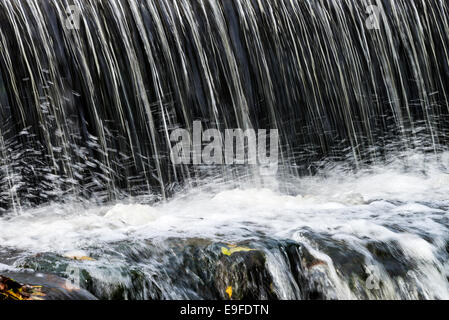 La Cascade dans le parc de Cannon Hall Country Park, près de Cawthorne Barnsley South Yorkshire England UK Banque D'Images