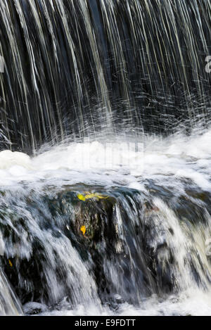 La Cascade dans le parc de Cannon Hall Country Park, près de Cawthorne Barnsley South Yorkshire England UK Banque D'Images