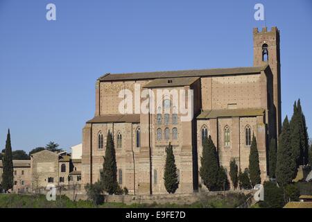 San Domenico Basilic (Sienne) Banque D'Images