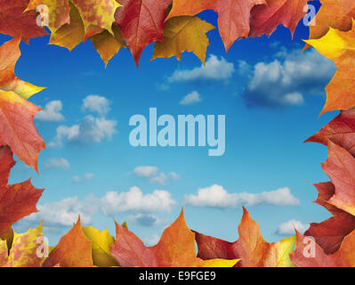 Image feuilles d'automne on blue sky Banque D'Images