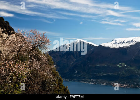 Vue sur le lac de garde et de Malcesine Banque D'Images