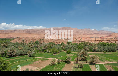 Berber kasbah à Gorges de Todra, Maroc Banque D'Images