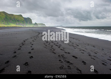 Plage de sable noir de Vik, Islande Banque D'Images