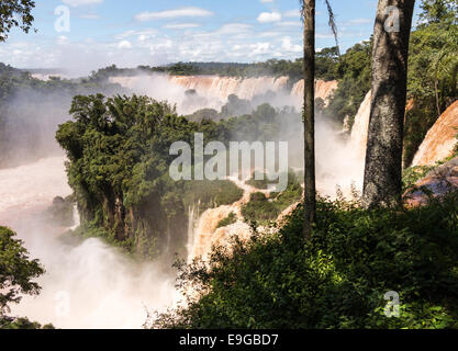 Rivière menant à Iguassu Falls Banque D'Images