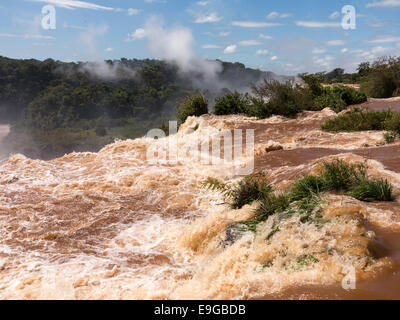 Rivière menant à Iguassu Falls Banque D'Images