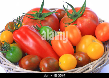 Divers cultivars de tomate Banque D'Images