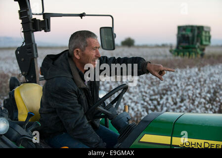 La Turquie, Kesik, près de Menemen, société Genel Pamuk, récolte de coton traditionnel avec John Deere récolteuse de coton panier Banque D'Images