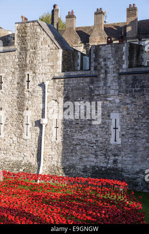 Les terres et les mers de sang ont balayé des coquelicots rouges - Tour de Londres UK Banque D'Images