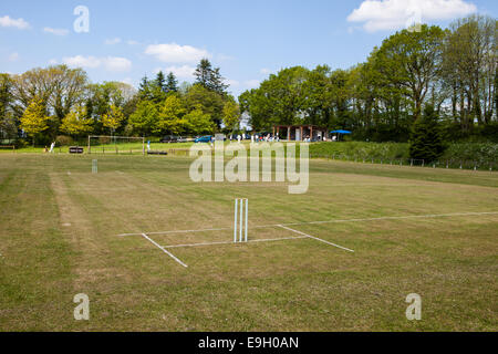 Le cricket en France Banque D'Images